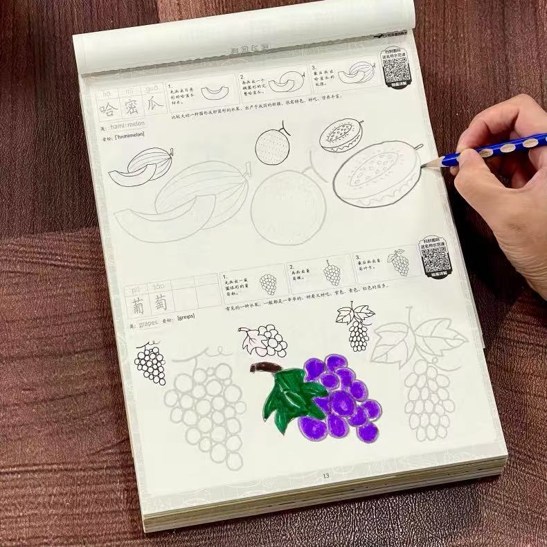 Food Snacks Drawing - Książka do rysowania i kalkowania z